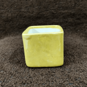 Ceramic flower Pot
